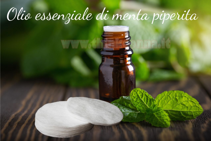 foglie di menta boccetta olio essenziale